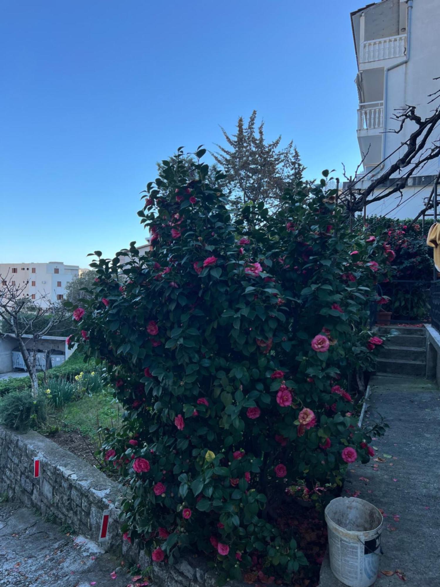Guest House Plima 2 부드바 외부 사진