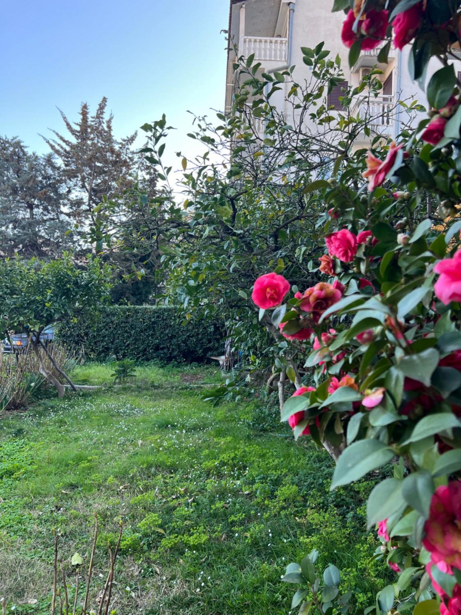Guest House Plima 2 부드바 외부 사진