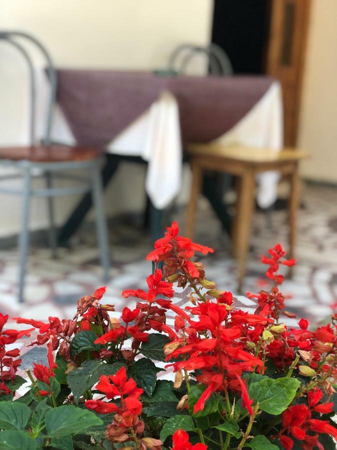 Guest House Plima 2 부드바 외부 사진